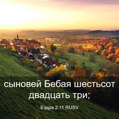Picture 03 - Ездра 2:11 RUSV - сыновей Бебая шестьсот - Bible Verse Picture