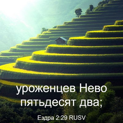 Picture 03 - Ездра 2:29 RUSV - уроженцев Нево пятьдесят - Bible Verse Picture
