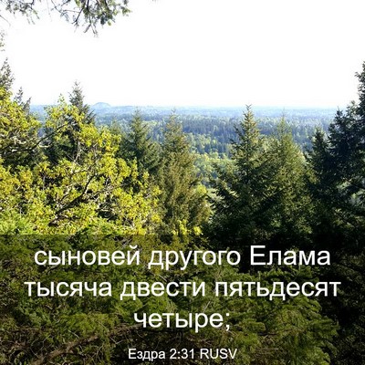 Picture 03 - Ездра 2:31 RUSV - сыновей другого Елама - Bible Verse Picture
