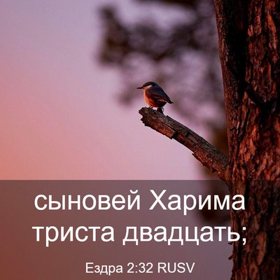 Picture 03 - Ездра 2:32 RUSV - сыновей Харима триста - Bible Verse Picture