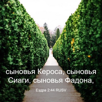 Picture 03 - Ездра 2:44 RUSV - сыновья Кероса, сыновья - Bible Verse Picture