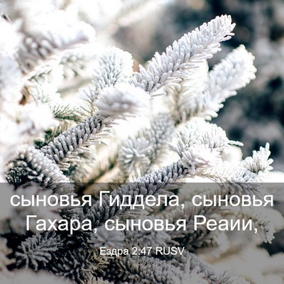 Picture 03 - Ездра 2:47 RUSV - сыновья Гиддела, сыновья - Bible Verse Picture