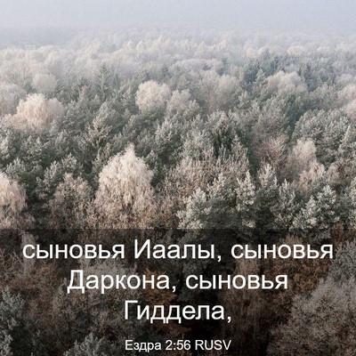 Picture 03 - Ездра 2:56 RUSV - сыновья Иаалы, сыновья - Bible Verse Picture