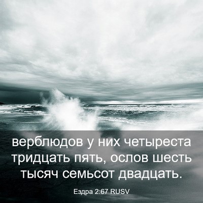 Picture 03 - Ездра 2:67 RUSV - верблюдов у них четыреста - Bible Verse Picture