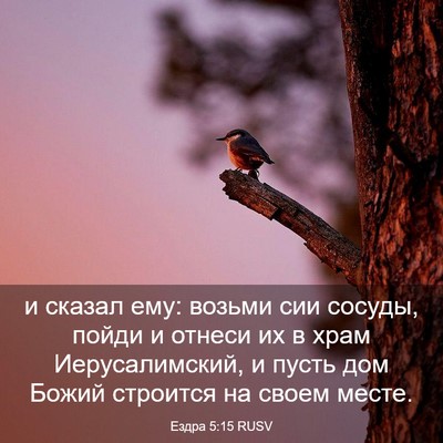 Picture 03 - Ездра 5:15 RUSV - и сказал ему: возьми сии - Bible Verse Picture
