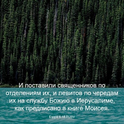 Picture 03 - Ездра 6:18 RUSV - И поставили священников по - Bible Verse Picture