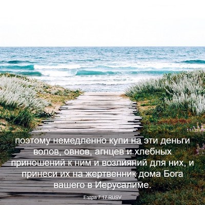 Picture 03 - Ездра 7:17 RUSV - поэтому немедленно купи на - Bible Verse Picture