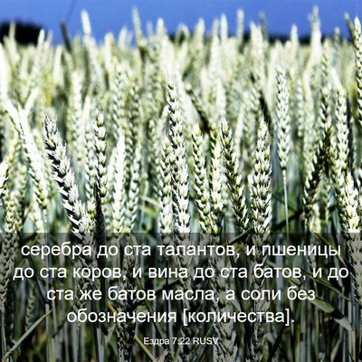 Picture 03 - Ездра 7:22 RUSV - серебра до ста талантов, и - Bible Verse Picture