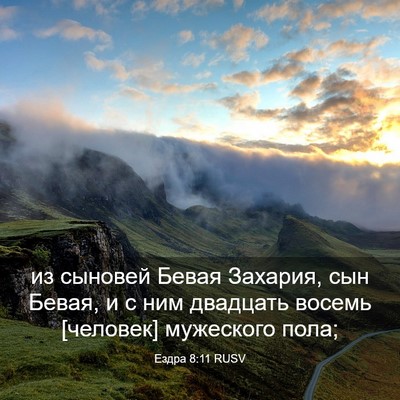 Picture 03 - Ездра 8:11 RUSV - из сыновей Бевая Захария, - Bible Verse Picture