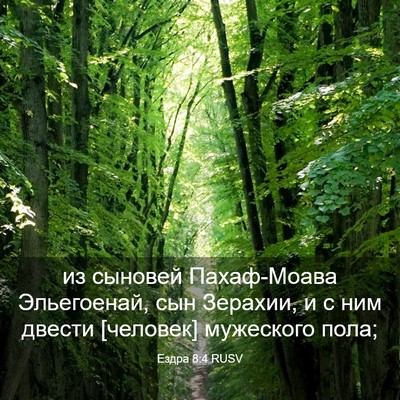 Picture 03 - Ездра 8:4 RUSV - из сыновей Пахаф-Моава - Bible Verse Picture