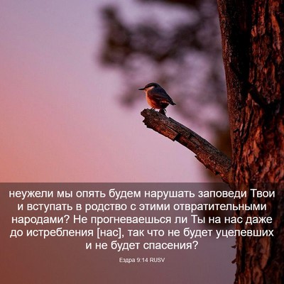 Picture 03 - Ездра 9:14 RUSV - неужели мы опять будем - Bible Verse Picture