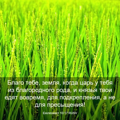 Picture 03 - Екклесиаст 10:17 RUSV - Благо тебе, земля, когда - Bible Verse Picture