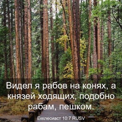 Picture 03 - Екклесиаст 10:7 RUSV - Видел я рабов на конях, а - Bible Verse Picture