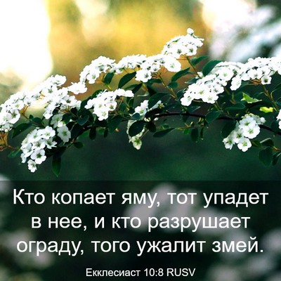 Picture 03 - Екклесиаст 10:8 RUSV - Кто копает яму, тот упадет - Bible Verse Picture