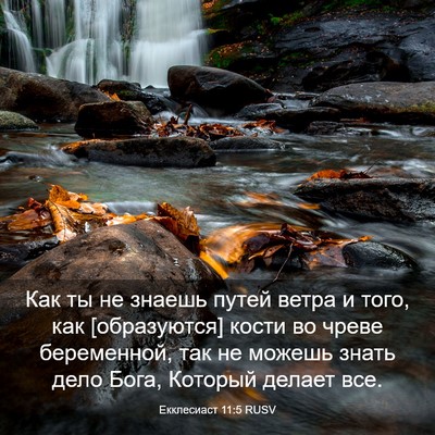 Picture 03 - Екклесиаст 11:5 RUSV - Как ты не знаешь путей - Bible Verse Picture
