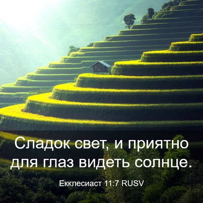 Picture 03 - Екклесиаст 11:7 RUSV - Сладок свет, и приятно для - Bible Verse Picture