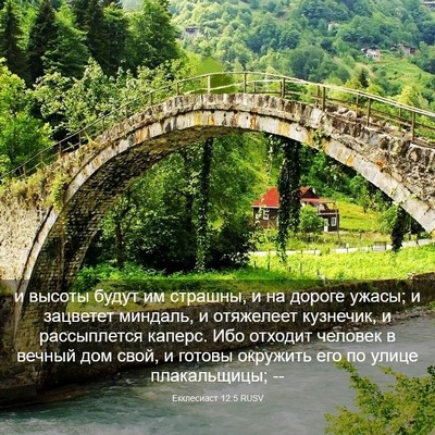 Picture 03 - Екклесиаст 12:5 RUSV - и высоты будут им страшны, - Bible Verse Picture