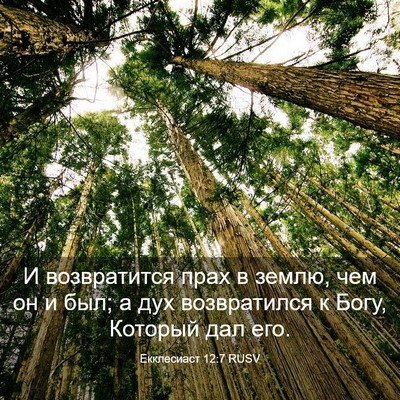 Picture 03 - Екклесиаст 12:7 RUSV - И возвратится прах в землю, - Bible Verse Picture
