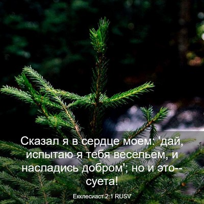 Picture 03 - Екклесиаст 2:1 RUSV - Сказал я в сердце моем: - Bible Verse Picture