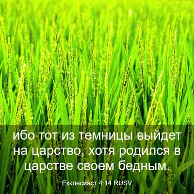 Picture 03 - Екклесиаст 4:14 RUSV - ибо тот из темницы выйдет - Bible Verse Picture