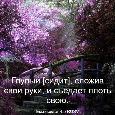 Picture 03 - Екклесиаст 4:5 RUSV - Глупый [сидит], сложив свои - Bible Verse Picture