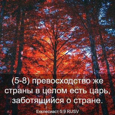 Picture 03 - Екклесиаст 5:9 RUSV - (5-8) превосходство же - Bible Verse Picture