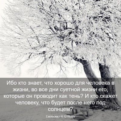 Picture 03 - Екклесиаст 6:12 RUSV - Ибо кто знает, что хорошо - Bible Verse Picture