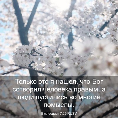 Picture 03 - Екклесиаст 7:29 RUSV - Только это я нашел, что Бог - Bible Verse Picture