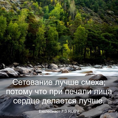 Picture 03 - Екклесиаст 7:3 RUSV - Сетование лучше смеха; - Bible Verse Picture