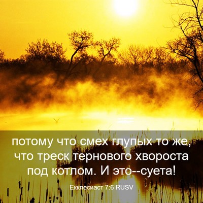 Picture 03 - Екклесиаст 7:6 RUSV - потому что смех глупых то - Bible Verse Picture