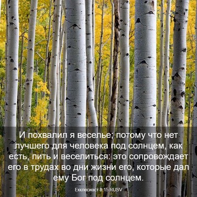 Picture 03 - Екклесиаст 8:15 RUSV - И похвалил я веселье; - Bible Verse Picture
