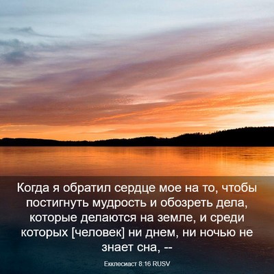 Picture 03 - Екклесиаст 8:16 RUSV - Когда я обратил сердце мое - Bible Verse Picture