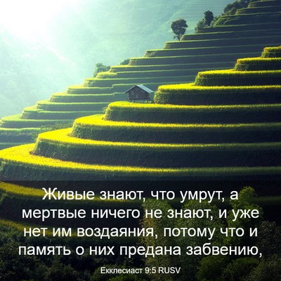 Picture 03 - Екклесиаст 9:5 RUSV - Живые знают, что умрут, а - Bible Verse Picture