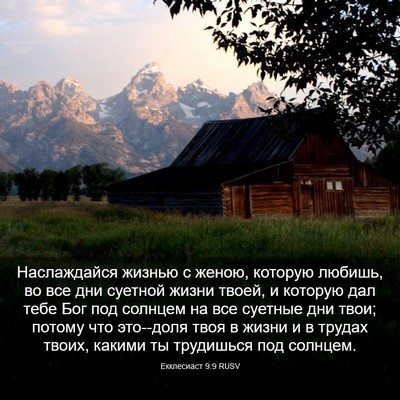 Picture 03 - Екклесиаст 9:9 RUSV - Наслаждайся жизнью с - Bible Verse Picture