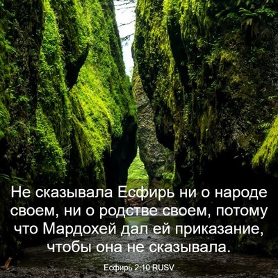 Picture 03 - Есфирь 2:10 RUSV - Не сказывала Есфирь ни о - Bible Verse Picture