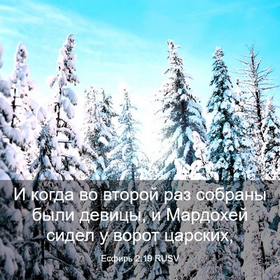 Picture 03 - Есфирь 2:19 RUSV - И когда во второй раз - Bible Verse Picture