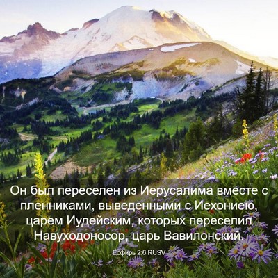 Picture 03 - Есфирь 2:6 RUSV - Он был переселен из - Bible Verse Picture
