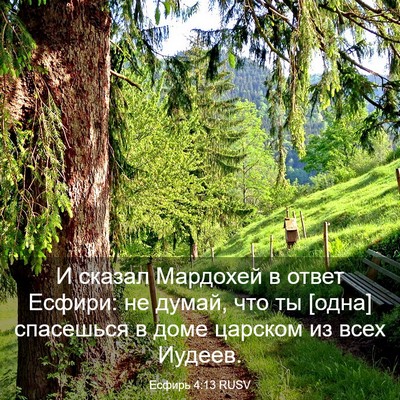 Picture 03 - Есфирь 4:13 RUSV - И сказал Мардохей в ответ - Bible Verse Picture