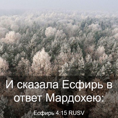 Picture 03 - Есфирь 4:15 RUSV - И сказала Есфирь в ответ - Bible Verse Picture