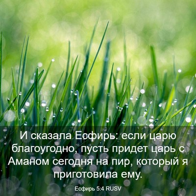 Picture 03 - Есфирь 5:4 RUSV - И сказала Есфирь: если царю - Bible Verse Picture