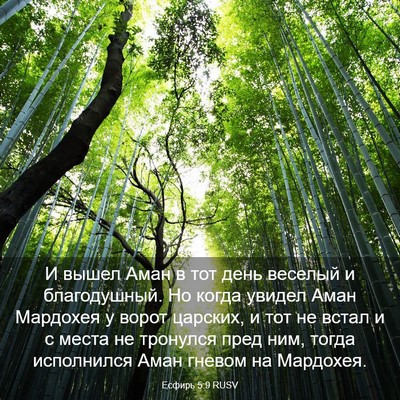 Picture 03 - Есфирь 5:9 RUSV - И вышел Аман в тот день - Bible Verse Picture