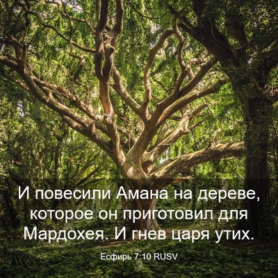 Picture 03 - Есфирь 7:10 RUSV - И повесили Амана на дереве, - Bible Verse Picture