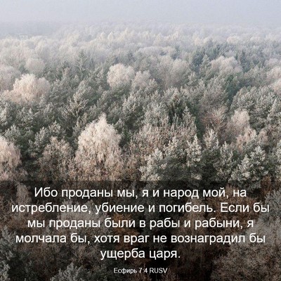 Picture 03 - Есфирь 7:4 RUSV - Ибо проданы мы, я и народ - Bible Verse Picture