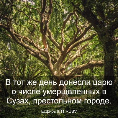 Picture 03 - Есфирь 9:11 RUSV - В тот же день донесли царю - Bible Verse Picture