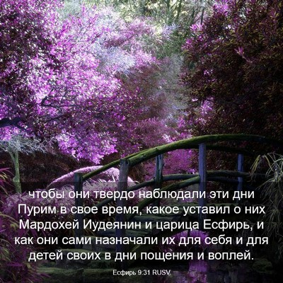 Picture 03 - Есфирь 9:31 RUSV - чтобы они твердо наблюдали - Bible Verse Picture
