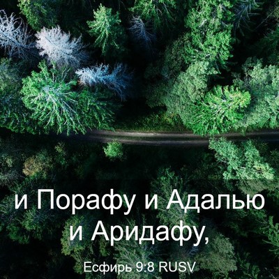 Picture 03 - Есфирь 9:8 RUSV - и Порафу и Адалью и - Bible Verse Picture