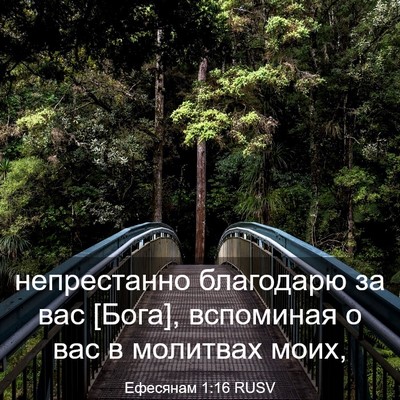 Picture 03 - Ефесянам 1:16 RUSV - непрестанно благодарю за - Bible Verse Picture