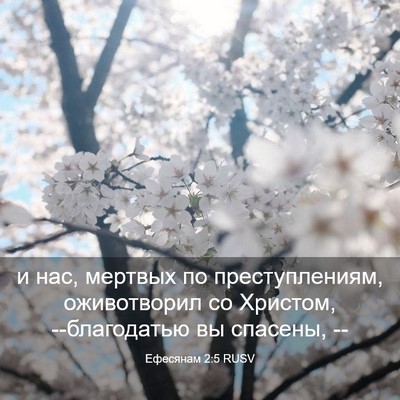 Picture 03 - Ефесянам 2:5 RUSV - и нас, мертвых по - Bible Verse Picture