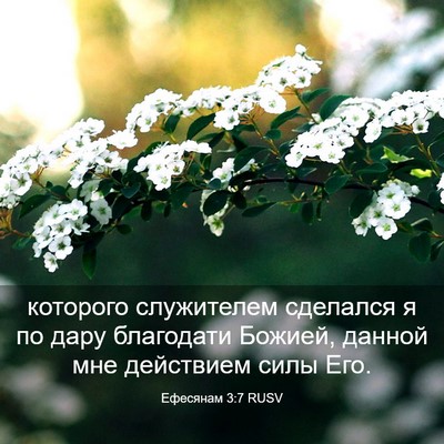 Picture 03 - Ефесянам 3:7 RUSV - которого служителем - Bible Verse Picture