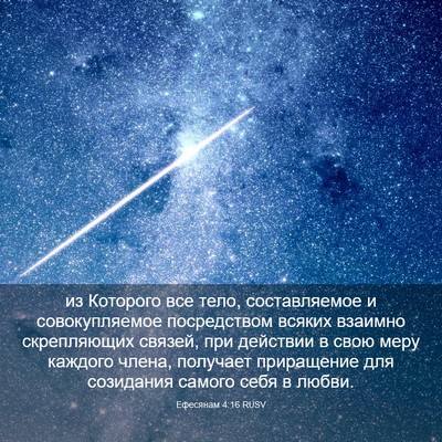 Picture 03 - Ефесянам 4:16 RUSV - из Которого все тело, - Bible Verse Picture